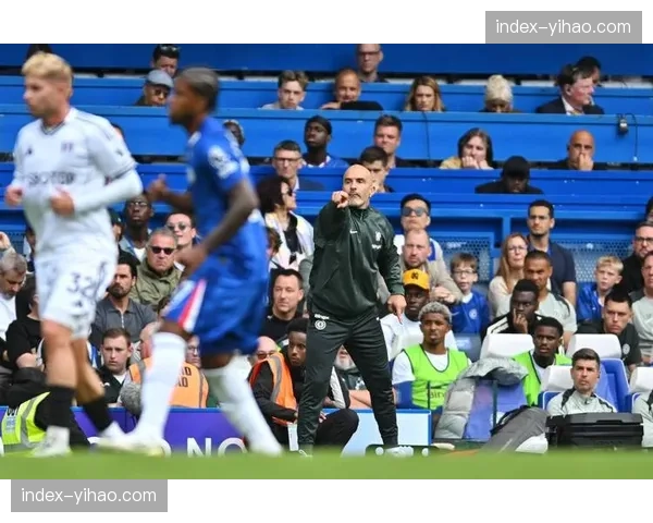 评论:VAR再次成为焦点,富勒姆点球争议引发讨论 评论:VAR再次成为焦点,富勒姆点球争议引发讨论