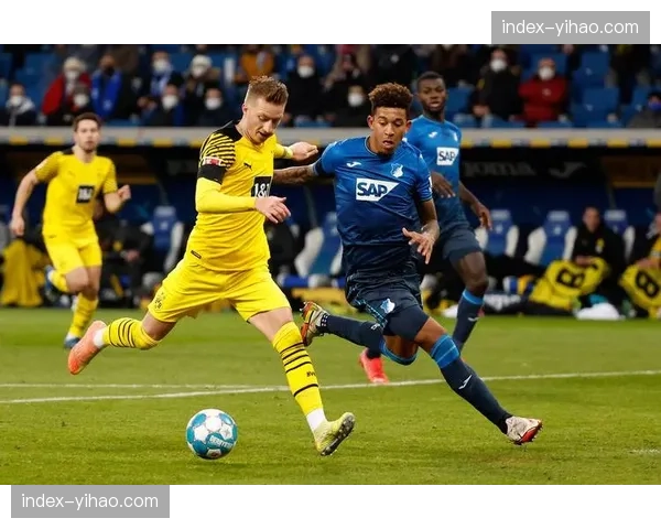 德甲球队视频分析会议重点研究对手进攻模式与防守对策