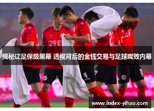 揭秘辽足保级黑幕 透视背后的金钱交易与足球腐败内幕