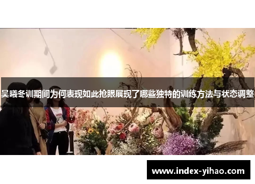 吴曦冬训期间为何表现如此抢眼展现了哪些独特的训练方法与状态调整
