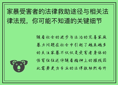 家暴受害者的法律救助途径与相关法律法规，你可能不知道的关键细节