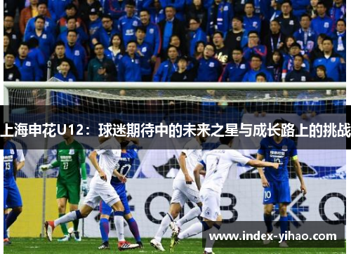 上海申花U12：球迷期待中的未来之星与成长路上的挑战