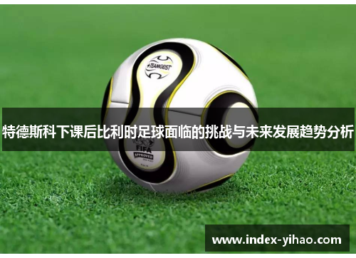 特德斯科下课后比利时足球面临的挑战与未来发展趋势分析