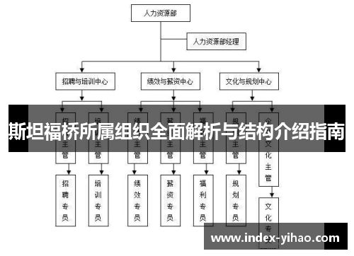 斯坦福桥所属组织全面解析与结构介绍指南